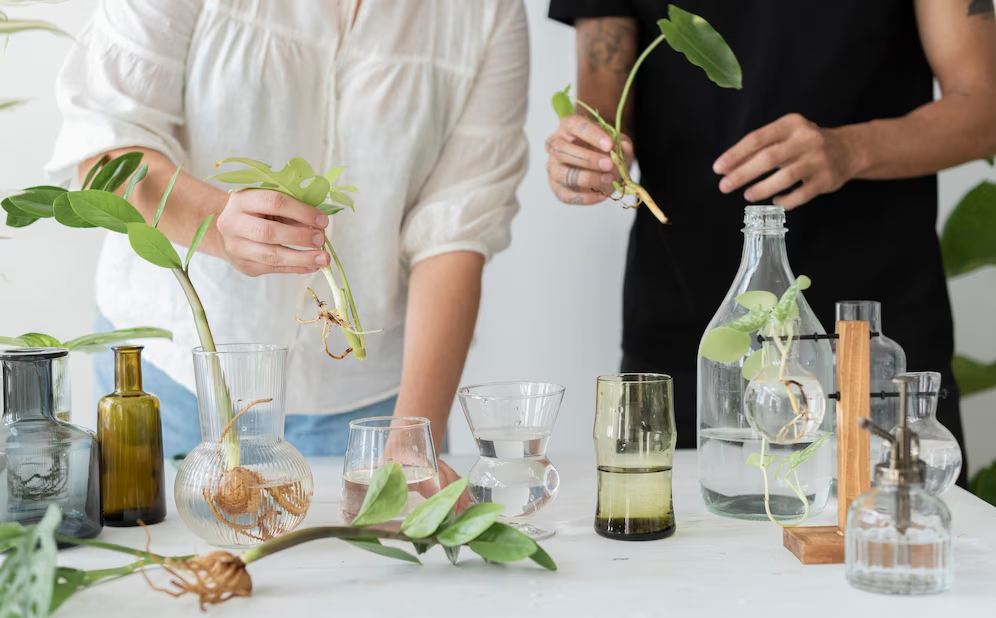 Naturopaths Should Invest in SEO