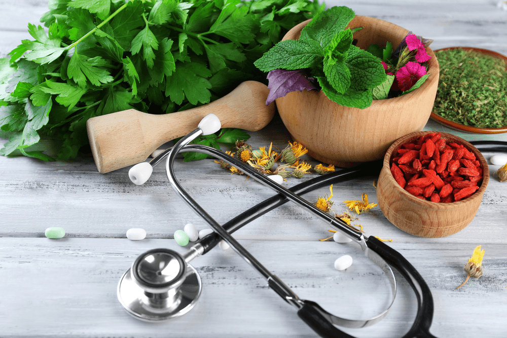 Naturopath SEO Services
