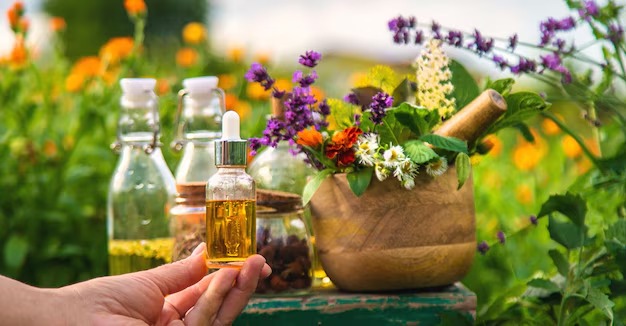 Naturopaths SEO Services