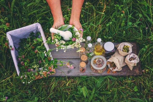 Naturopaths SEO Services