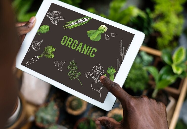 Naturopaths SEO Services